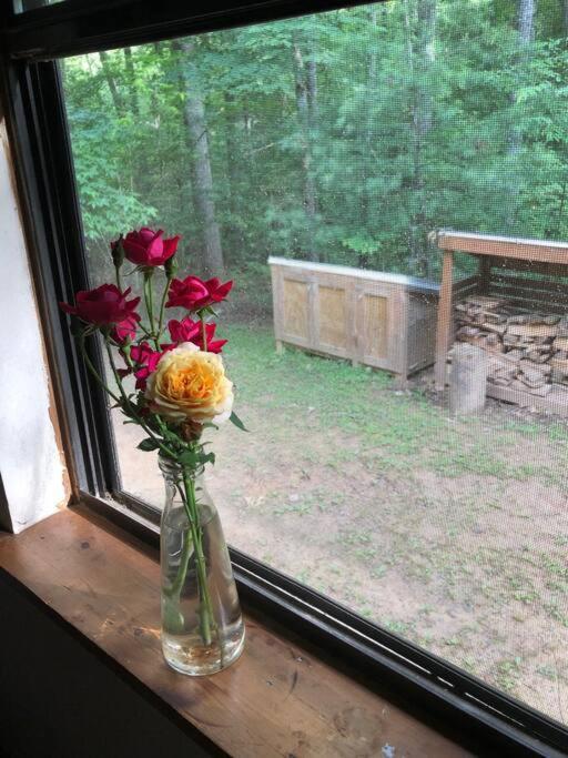 Beautiful & Peaceful Cabin W/ Deck Garden & Fire-Pit Murphy Exterior foto